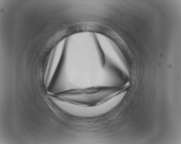 X0000082700401200702232235