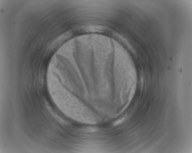 X0000082700402200702232235