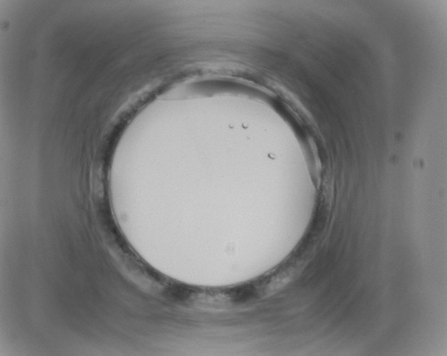 X0000082700403200702232235