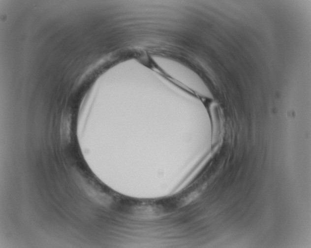 X0000082700404200702232235