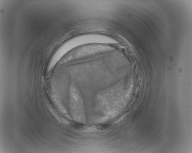 X0000082700405200702232235