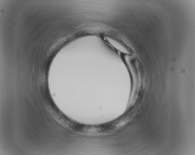 X0000082700407200702232235