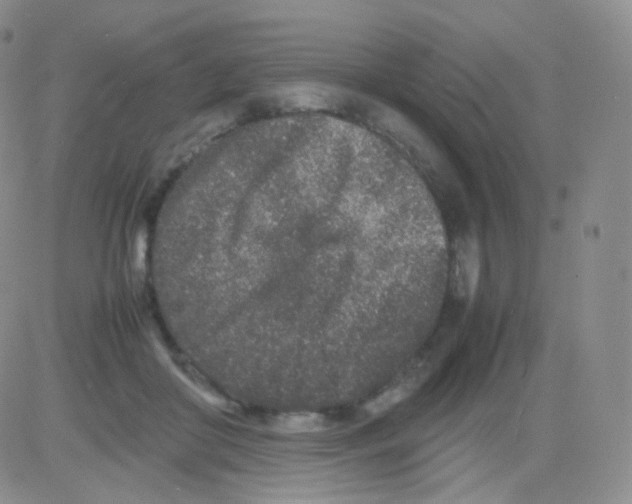 X0000082700410200702232235