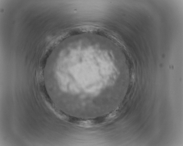 X0000082700411200702232235