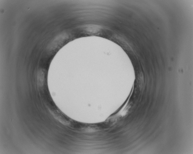 X0000082700412200702232235