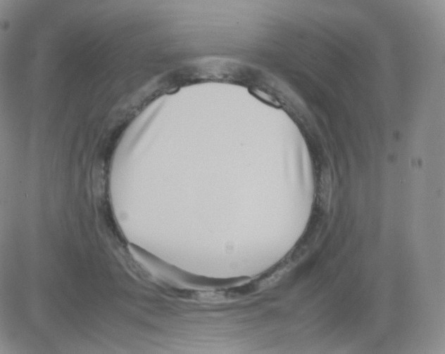 X0000082700413200702232235