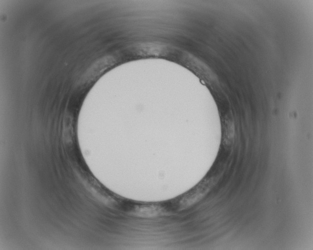 X0000082700414200702232235