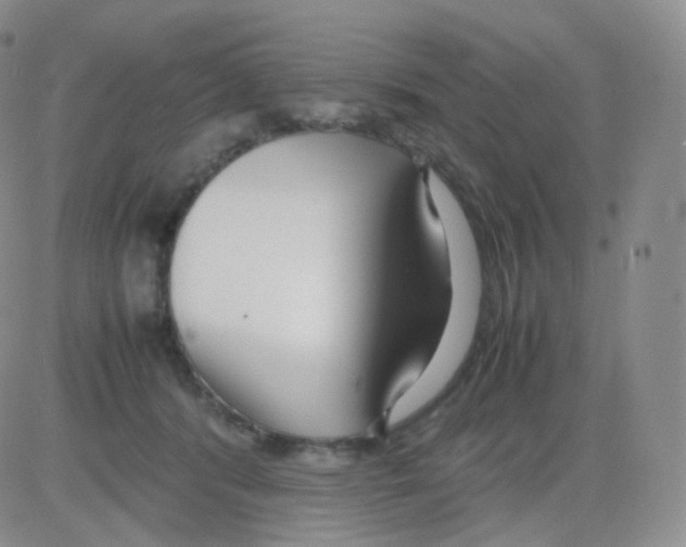 X0000082700416200702232235