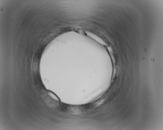 X0000082700417200702232235