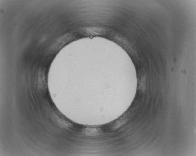 X0000082700418200702232235