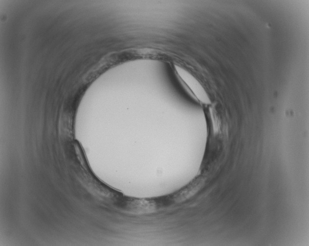 X0000082700421200702232235