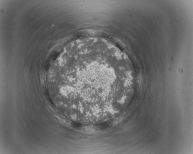 X0000082700423200702232235