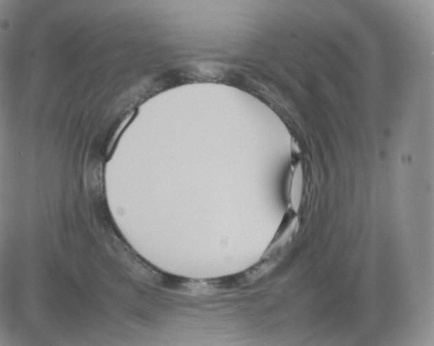 X0000082700425200702232235