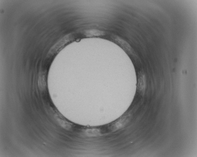 X0000082700426200702232235