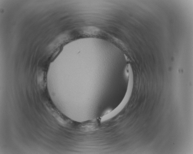 X0000082700428200702232235