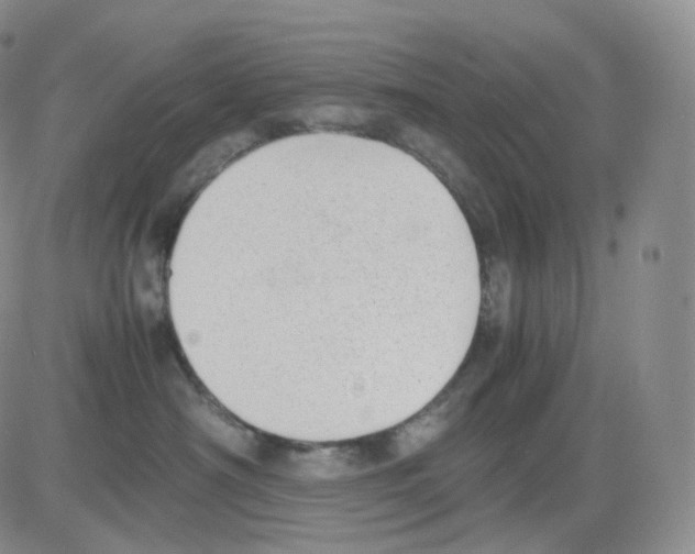 X0000082700430200702232235