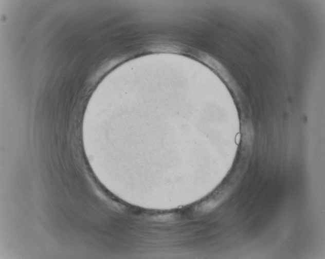 X0000082700433200702232234