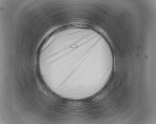 X0000082700435200702232234