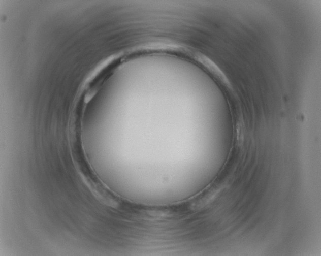 X0000082700436200702232234