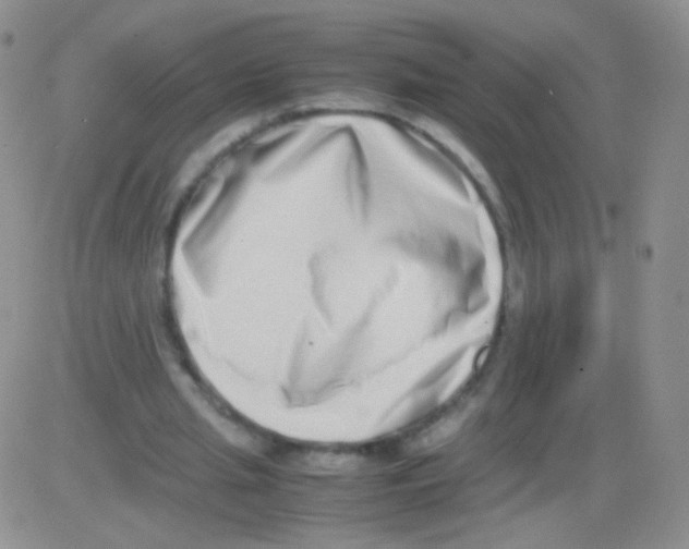 X0000082700437200702232234