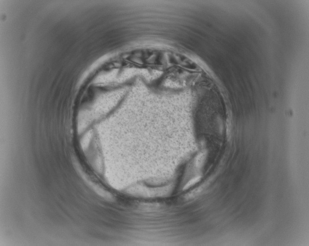 X0000082700438200702232234