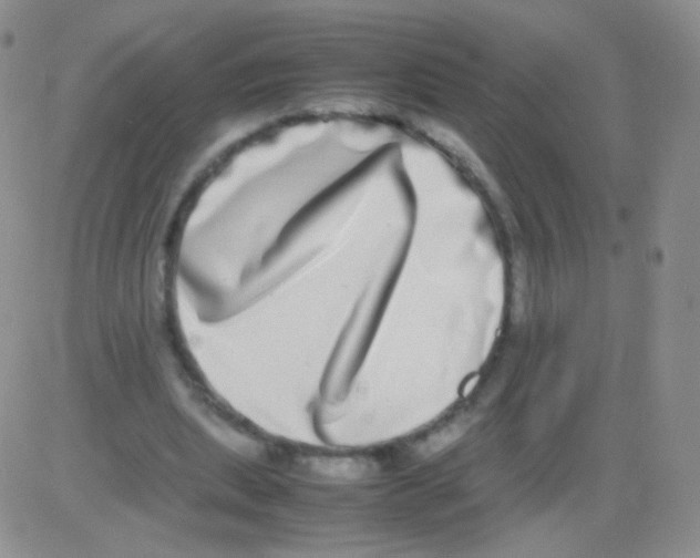 X0000082700439200702232234