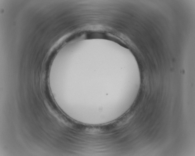 X0000082700440200702232234