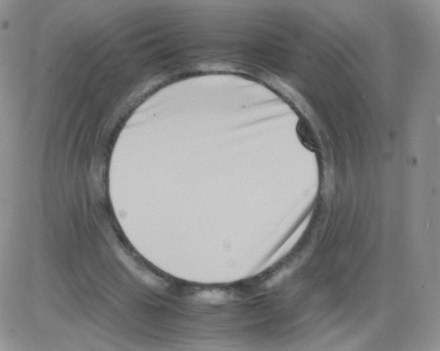 X0000082700441200702232234