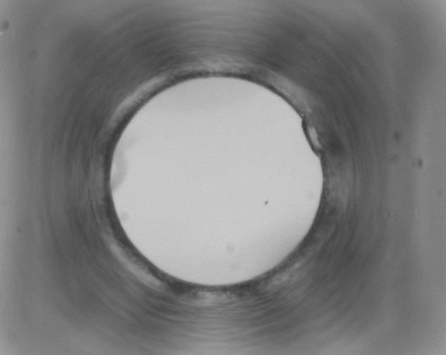 X0000082700442200702232234