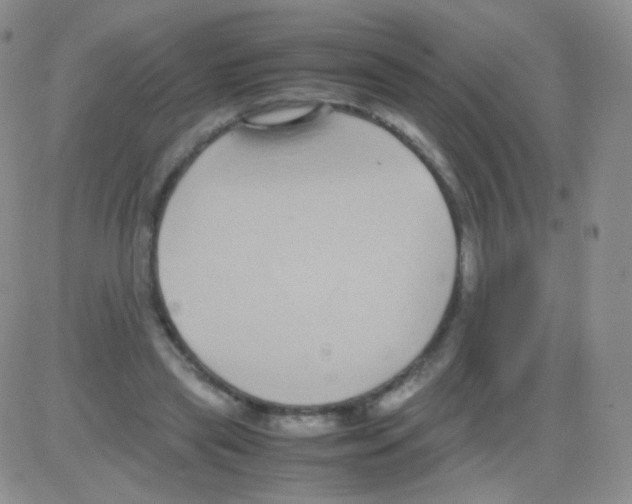 X0000082700445200702232234