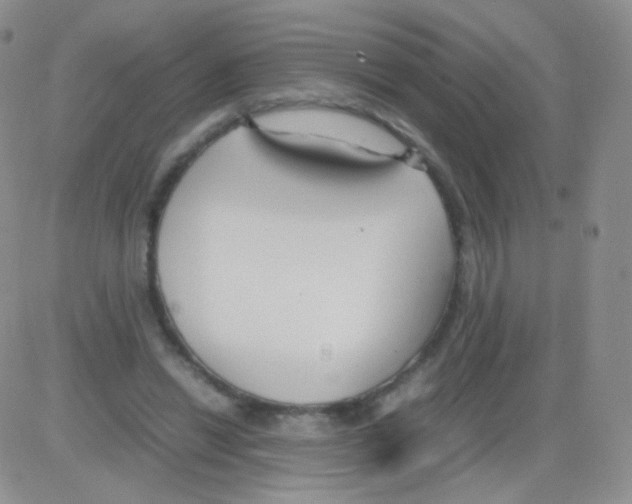 X0000082700446200702232234