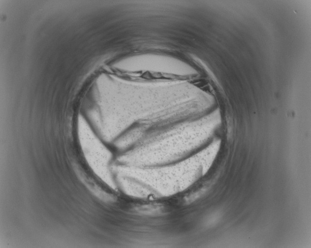 X0000082700447200702232234