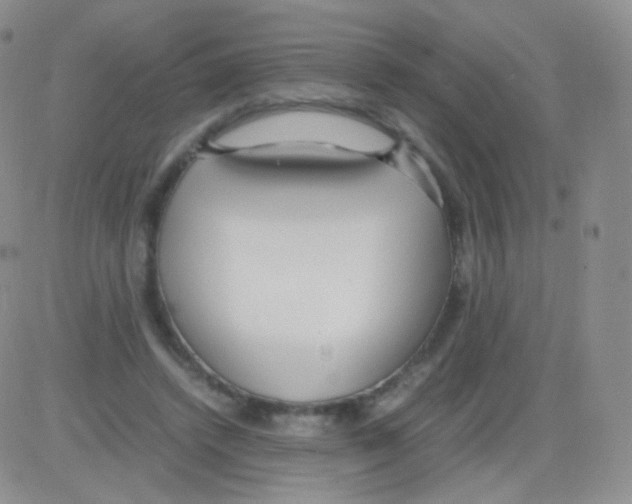 X0000082700448200702232234