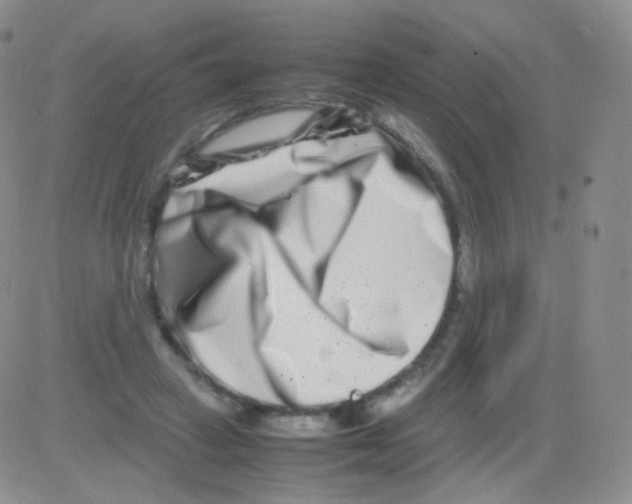 X0000082700449200702232234