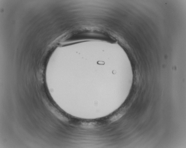 X0000082700450200702232234