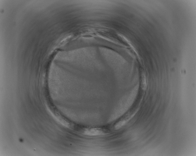 X0000082700451200702232234