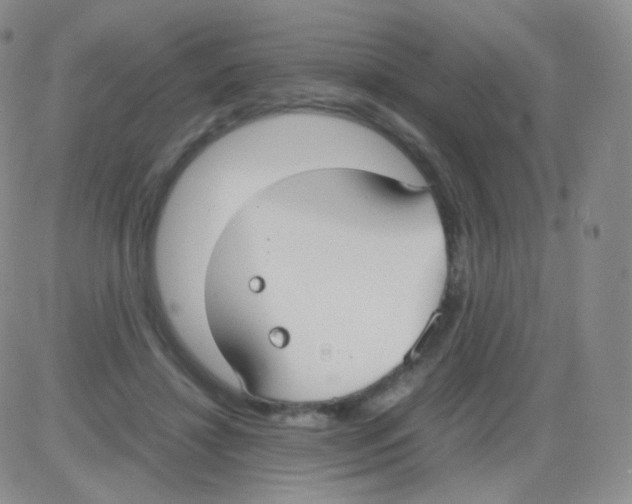 X0000082700452200702232234