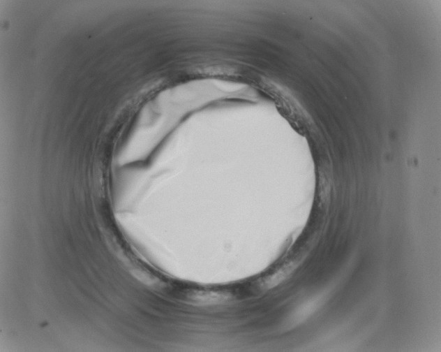 X0000082700453200702232234