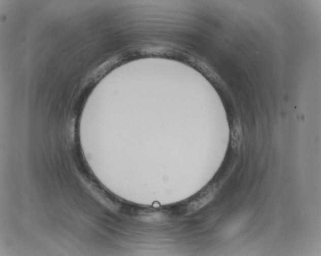 X0000082700454200702232234