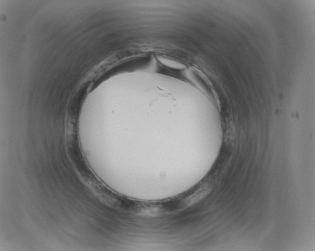 X0000082700456200702232234