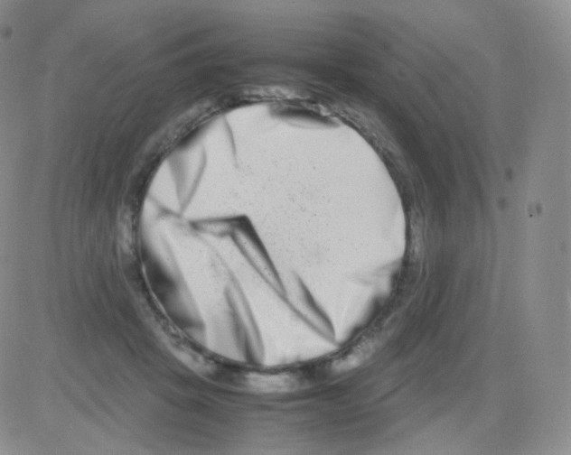 X0000082700457200702232234