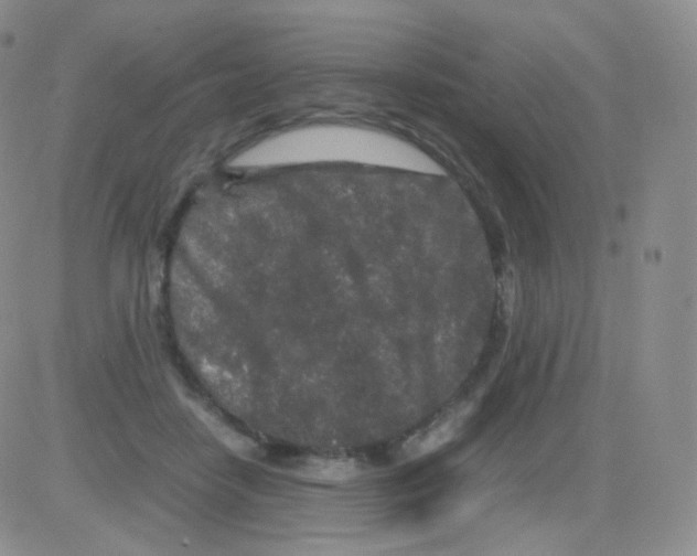 X0000082700458200702232234