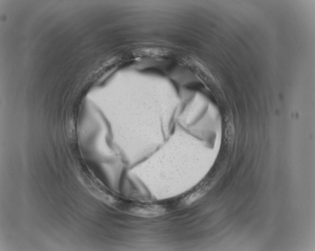 X0000082700459200702232234