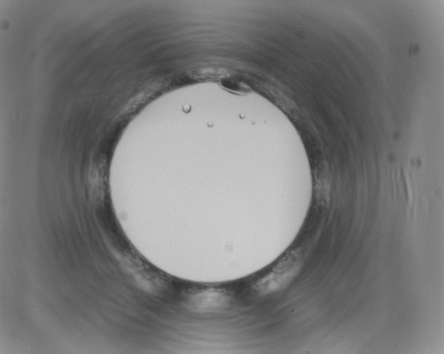 X0000082700460200702232235