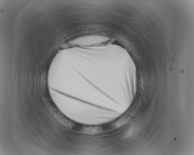 X0000082700461200702232235