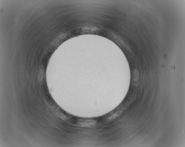 X0000082700463200702232235