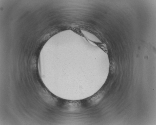 X0000082700466200702232235