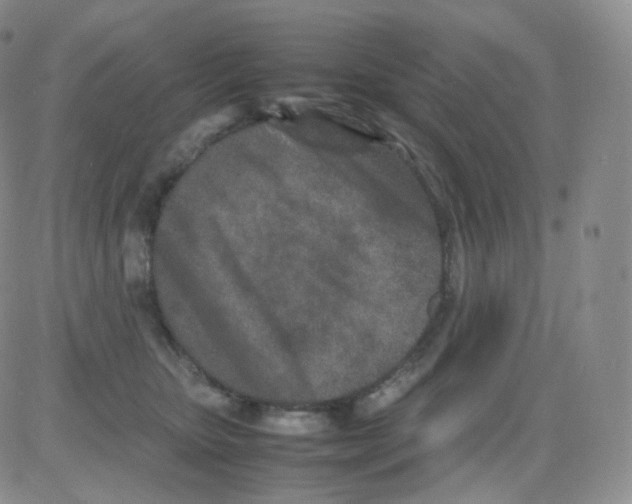 X0000082700467200702232235