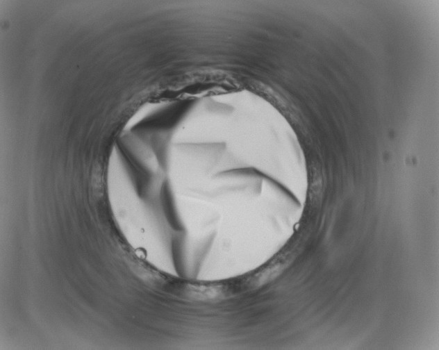 X0000082700469200702232235