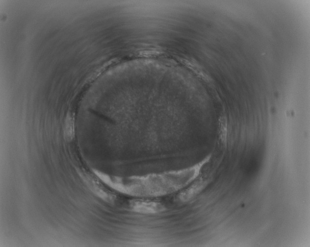 X0000082700471200702232235